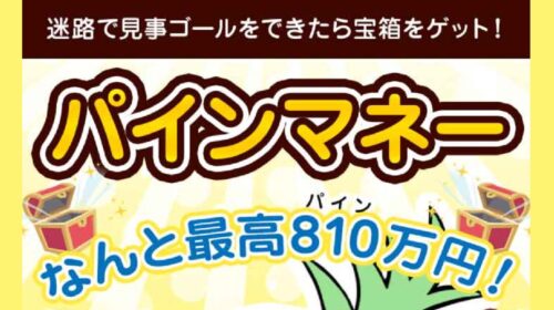 パインマネーは詐欺で稼げない？口コミや評判を徹底調査しました！のイメージ画像